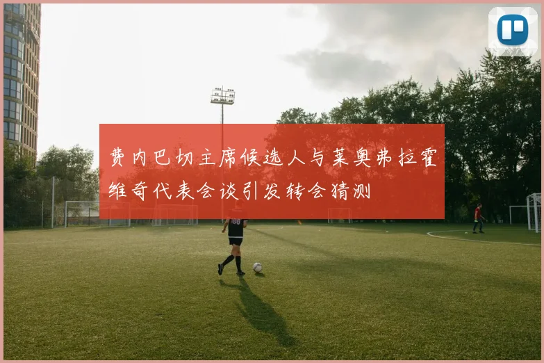费内巴切主席候选人与莱奥弗拉霍维奇代表会谈引发转会猜测