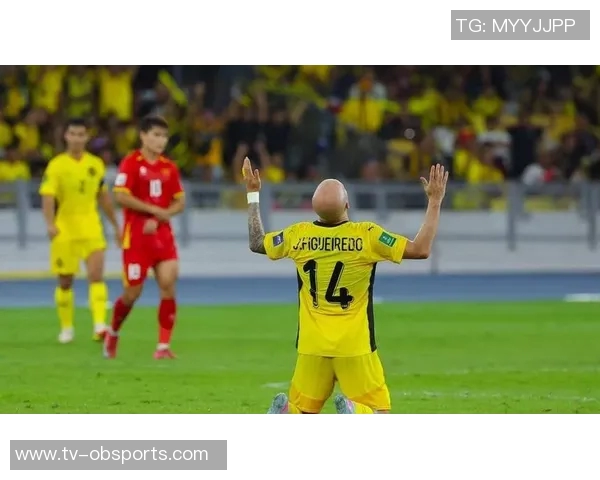 七名归化球员起诉马来西亚足协索赔因违规禁赛一年事件引发关注